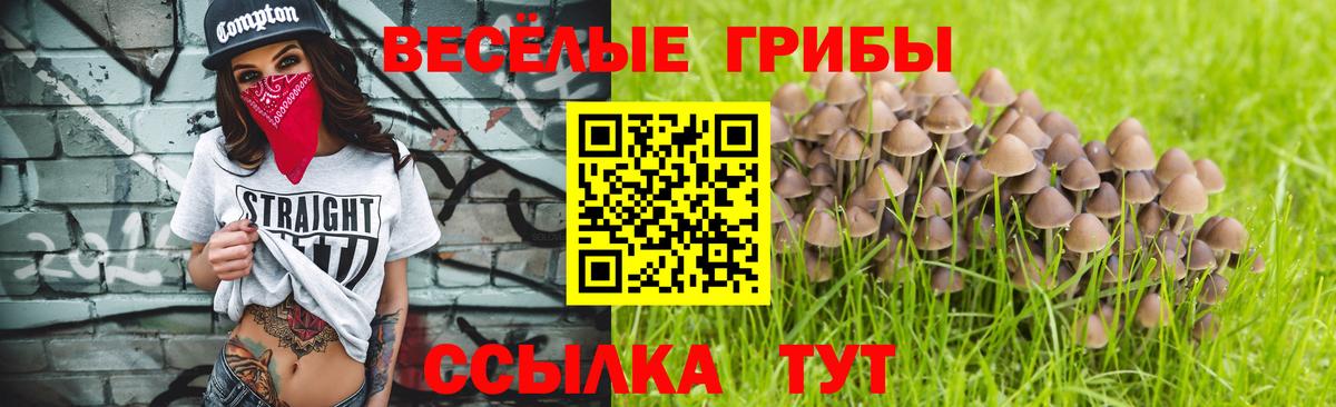 Псилоцибиновые грибы Magic Shrooms Урус-Мартан